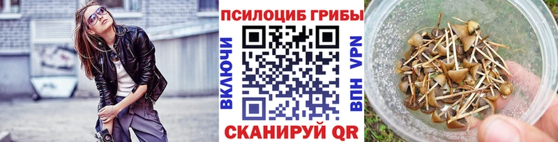 hydra маркетплейс  Абинск  Галлюциногенные грибы мицелий  купить наркотик 
