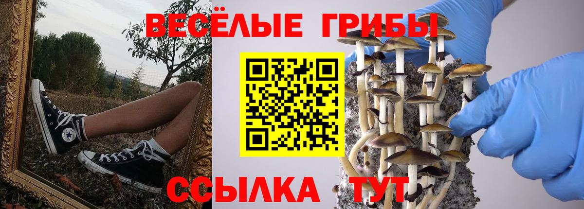 Галлюциногенные грибы мицелий Абинск